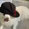 sslabrat