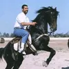 user8522404051247