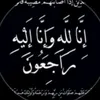 shwshw673