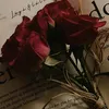 miss.neeeran