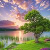 tariq.khan95652