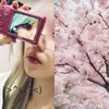 pinkswansong