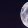 toto.7022010293372506