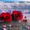 farac__mca__1