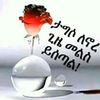 adisu.adisu.hayil