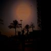 adam.ehab837