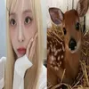 ___deaht0love