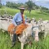 sergio_da_pecuaria