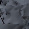 kane.olie