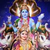 suresh.yadav4439