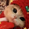ekoekooooooo