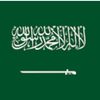 saudia.ally