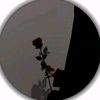 nalstr_7