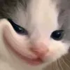 datnekae
