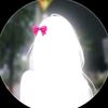 user106536165