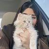 يوميات شࣸوۗشٰوࣼ ⭐️🔔🖤
