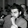 2006..ahmed
