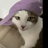 buonquatroiii0