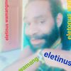 eletinus.eletinus