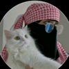 malik.fiaz.toloke8