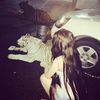 Loveu