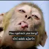 mbakgenzie
