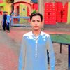 malikshami831