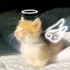 frenchpetersen5