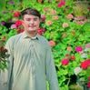 hashmat.safa