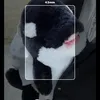 y2rg_p0nd