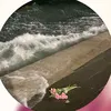 .esraa320