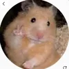 mira_suliman8
