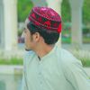 salmansafi560