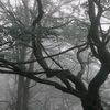ahmad.salihov0