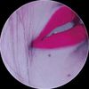 _sathi_313