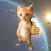 MeowMeowSupply