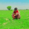 siddique.gurmani7