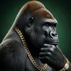gorilla.bazuu