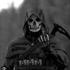 persian._dude