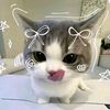 fauzia5321