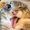 nadakuvwj32