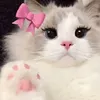 kendolltellsstori6