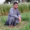 gholam.reza.qasmi
