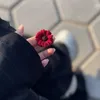 𝓡𝓪𝓱𝓶𝓪❣️