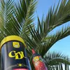 magalufcreamdlx
