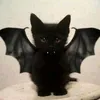 wwwl03030