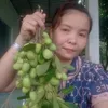 hungtran22058