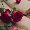 eman_khan597