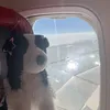 bear.pope2