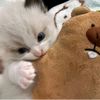 jaem_luv7